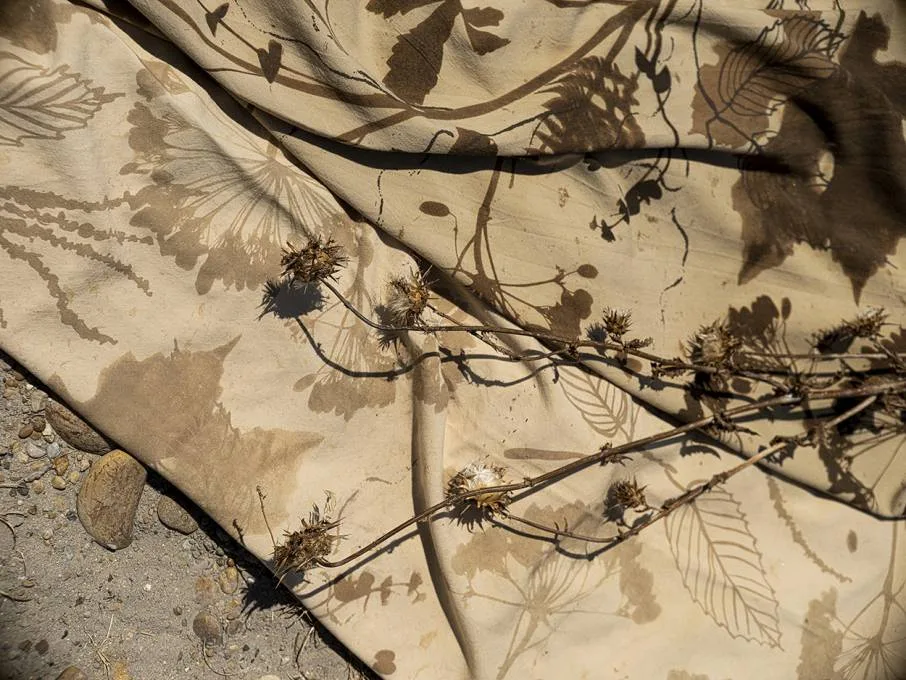 Tissu rideau Élitis Racines Le Bruit des Feuilles Mâcon