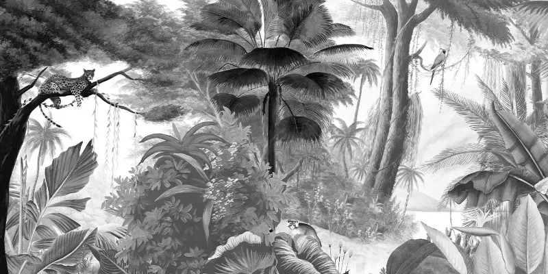 Papier peint Ressource Ananbô Paradis des Tropiques Noir & Blanc — Maison Esclavissat Mâcon