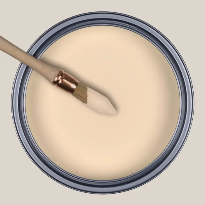 Peinture Ressource Heju Hêtre Savonné — Maison Esclavissat Mâcon